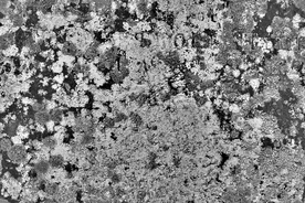 墙面材质效果图片