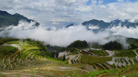 美丽的梯田景观