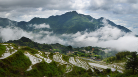 美丽的梯田景观