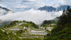 美丽的梯田景观