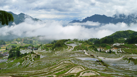 美丽的梯田景观