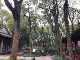建筑美景