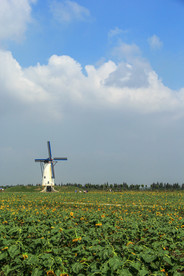 乡间风景