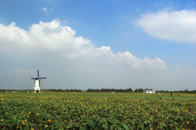 田原风光