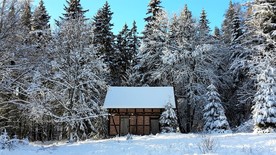 冬天雪
