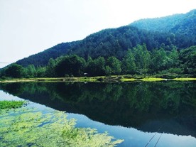 山清水秀
