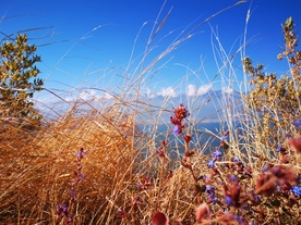 苍山洱海旁