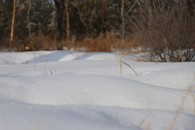 草原雪韵