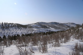 草原雪韵