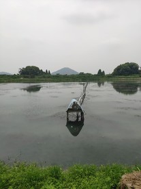 阳山