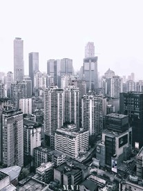 城市森林