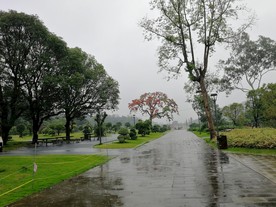 雨天公园