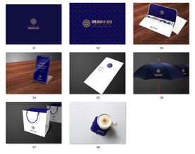 地产VI 标志 楼盘案名 提案