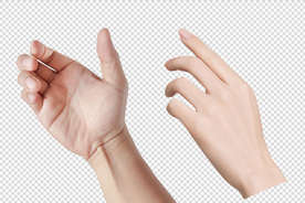 手 半握的手  手背