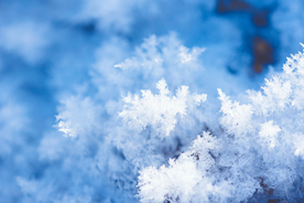 雪