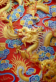 龙
