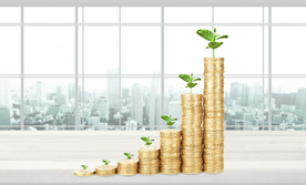 增长的金币财富