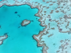美丽的大海