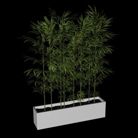 花草模型 植物模型 花卉模型