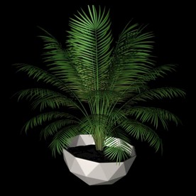 花草模型 植物模型 花卉模型