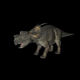 恐龙c4d模型