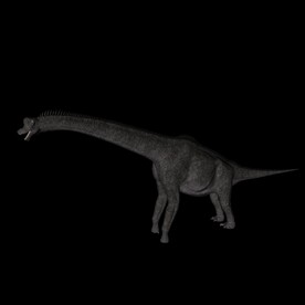 恐龙c4d模型