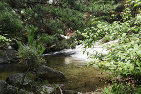 山泉