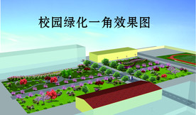 校园绿化