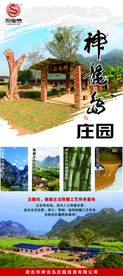 X展架