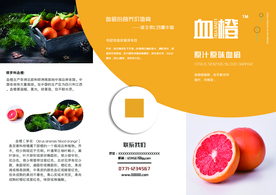 水果三折页