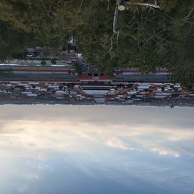 全景