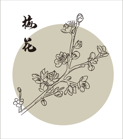 手绘梅花