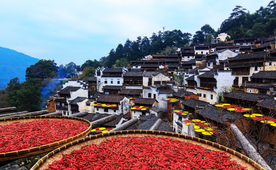 婺源篁岭风景区晒秋