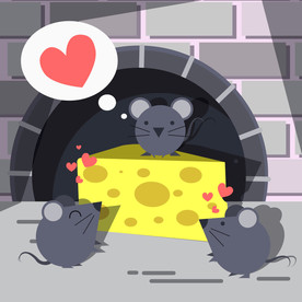 老鼠偷奶酪   三只鼠