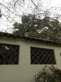 锡惠名胜区