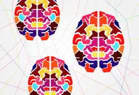 连接的人类大脑人类作为社会存在