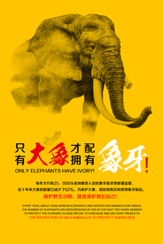 只有大象才配拥有象牙