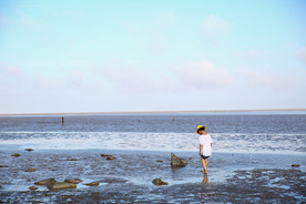 逐海童趣