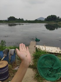阳山