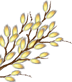 树叶树枝上的花朵卡通素材