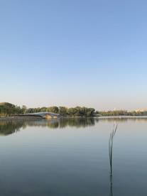 南海子
