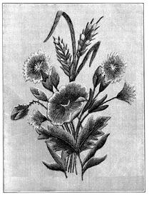 花纹底纹边纹背景图片