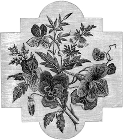 花纹底纹边纹背景图片