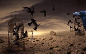 神秘主义 幻想 神秘乌鸦