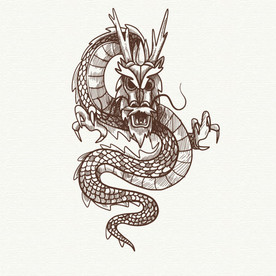 龙矢量