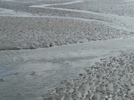 滩涂