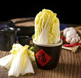 娃娃菜