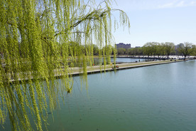 初春沈阳万柳塘公园的景色