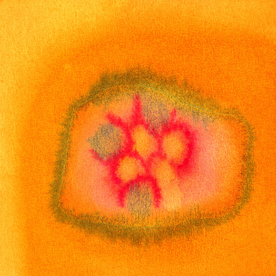 花纹底纹边纹背景图片