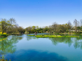 西溪湿地